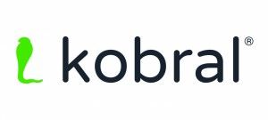 Kobral - Social Analytics Tool